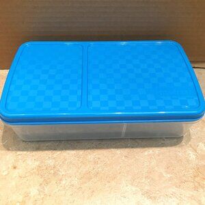 Lunch Container with 2 Slim Ice Packs